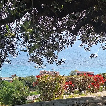 Naiad Sea View